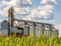 agrifood