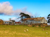 outback homestead