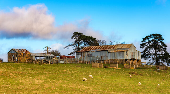 outback homestead