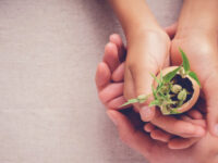 socially responsible, csr, social responsibility, giving, social impact