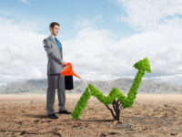 early stages, grow, start-up