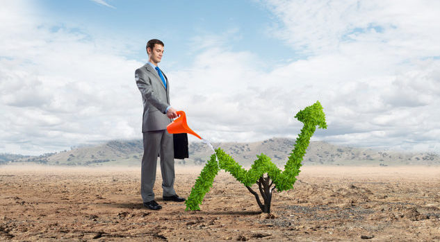 early stages, grow, start-up