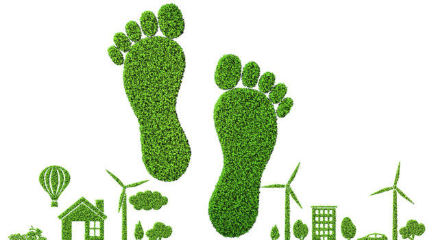 retailers, zero emissions, net-zero