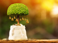 growth fund, indigenous businesses