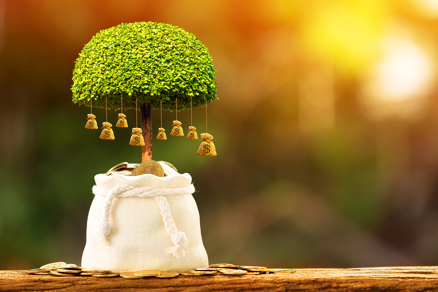 growth fund, indigenous businesses