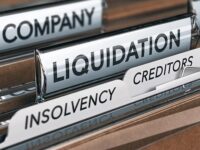 insolvencies, insolvency