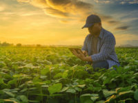 rural, farmers
