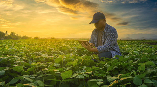 rural, farmers
