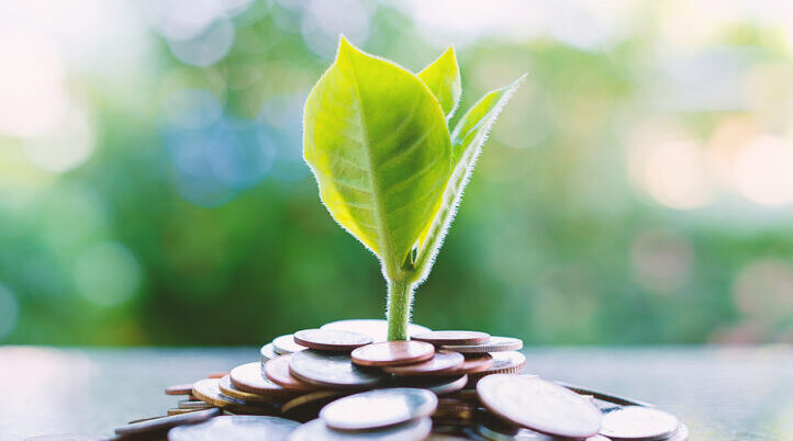 seed fund, growth