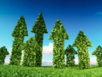 multiple, growth, sustainability