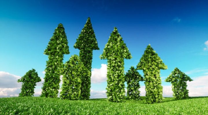 multiple, growth, sustainability