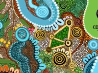 indigenous business sector